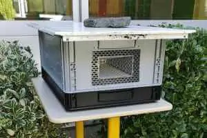 image d'un piège contre le frelon asiatique